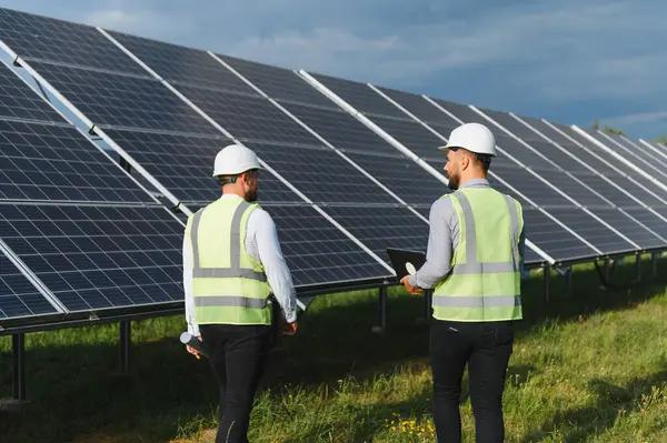 Small & Large Breed Pet Grooming in Port St. Lucie