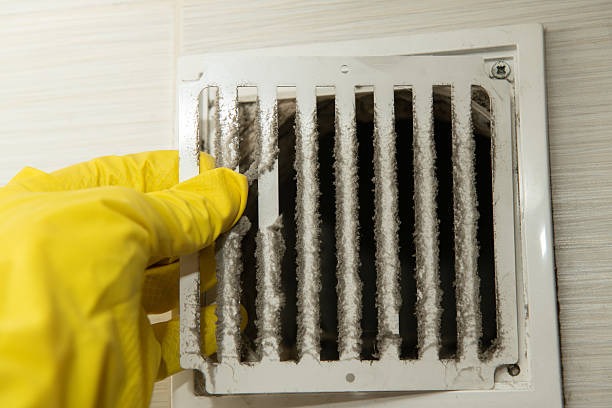 Efficient Duct Cleaning Services Muscle Shoals for HVAC Systems