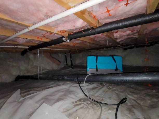 Complete Indianapolis Crawl Space Services for Homeowners