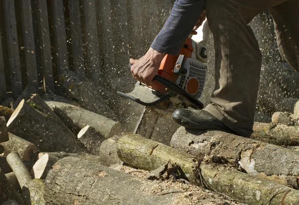 Safe and Efficient Tree Removal Mobile Services for Homeowners